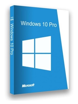 Windows 10 Pro 20H2 + Office 2019 Pro Plus pt-BR Novembro 2020 torrent